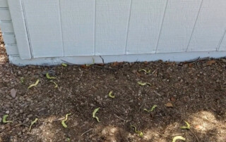 Image showing a skilled technician from Concrete Repairman LLC performing expert stem wall repair on a residential foundation. Call 480-725-7614 today to schedule a certified inspection and protect your home from foundation damage. Trust the pros at Concrete Repairman LLC for long-lasting, professional stem wall repair.