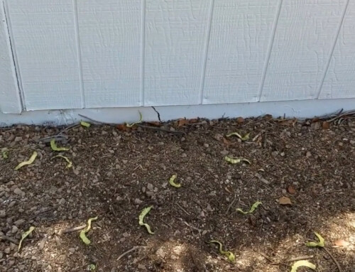 How to Repair Horizontal Cracks and Foundation Cracks